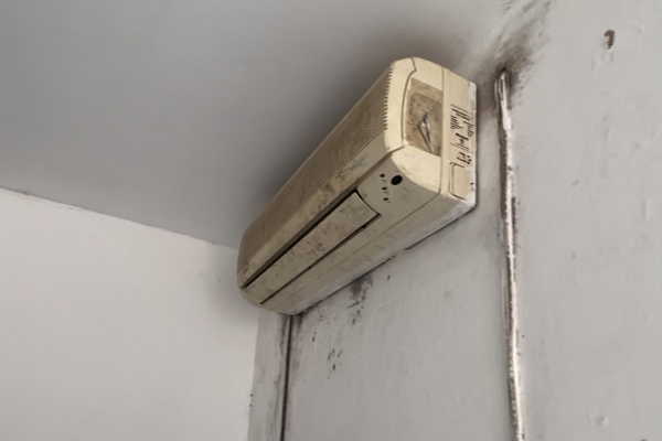 (Foto: Divulgação)