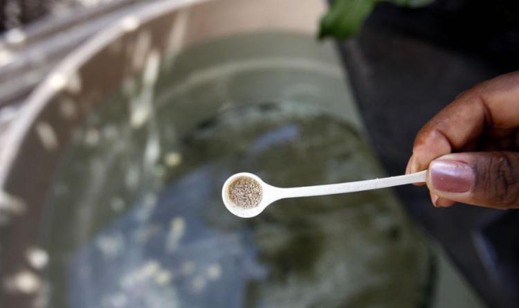 Os dados mostram uma queda de 5,5% no número de casos de dengue este ano (Foto: Luiz Tito | Ag. A TARDE)