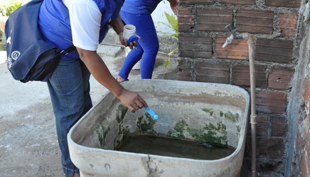 A prevenção é a melhor forma de combater a transmissão do mosquito Aedes aegypti (Foto: Agência Brasil)